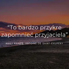 To bardzo przykre zapomnieć przyjaciela" - cytaty o przyjaźni na odległość, Mały Książę. Zachód słońca nad morzem.