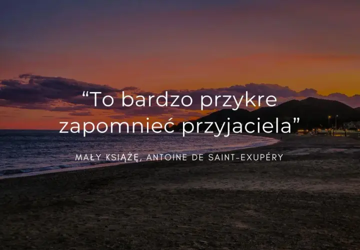 To bardzo przykre zapomnieć przyjaciela" - cytaty o przyjaźni na odległość, Mały Książę. Zachód słońca nad morzem.