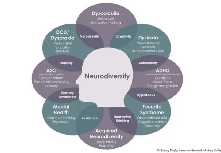 Schemat przedstawia neurodywersyfikację, ukazując różne aspekty i cechy osób neuroróżnorodnych, takie jak dysleksja, ADHD, ASC.