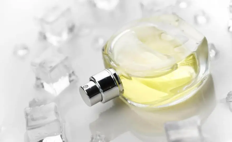 Perfumy szyprowe - Czy to zapach dla Ciebie? Pełny przewodnik