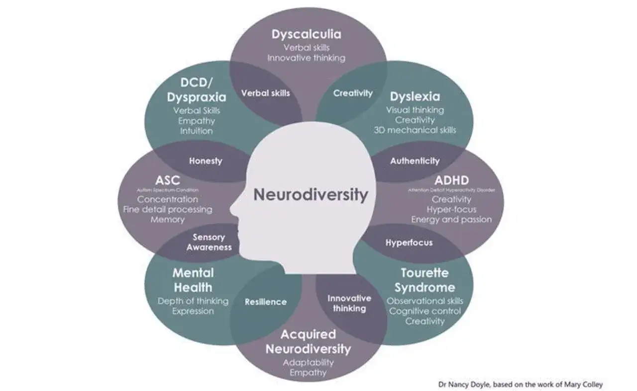 Schemat przedstawia neurodywersyfikację, ukazując r&oacute;żne cechy i stany, kt&oacute;re mogą charakteryzować osoby neuror&oacute;żnorodne, takie jak ADHD, dysleksja, autyzm.